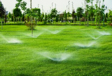 Automatic,Lawn,Watering,System,Watering,The,Young,Green,Lawn,Grass Automatic,Lawn,Watering,System,Watering,The,Young,Green,Lawn,Grass